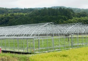 SP(AP)ハウス園芸用ハウス