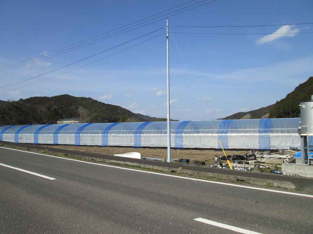 園芸用ハウス,エロフィンチューブ,温水暖房機,温風暖房機の昭和産業の令和5年度四万十町園芸用ハウス2号棟の写真